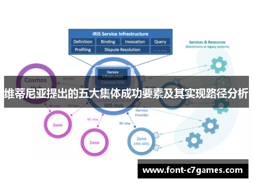 维蒂尼亚提出的五大集体成功要素及其实现路径分析